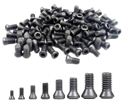 CNC Insert Torx Screw
